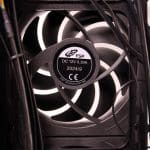 fan